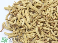 東洋參的營養價值_東洋參的功效與作用及食用方法