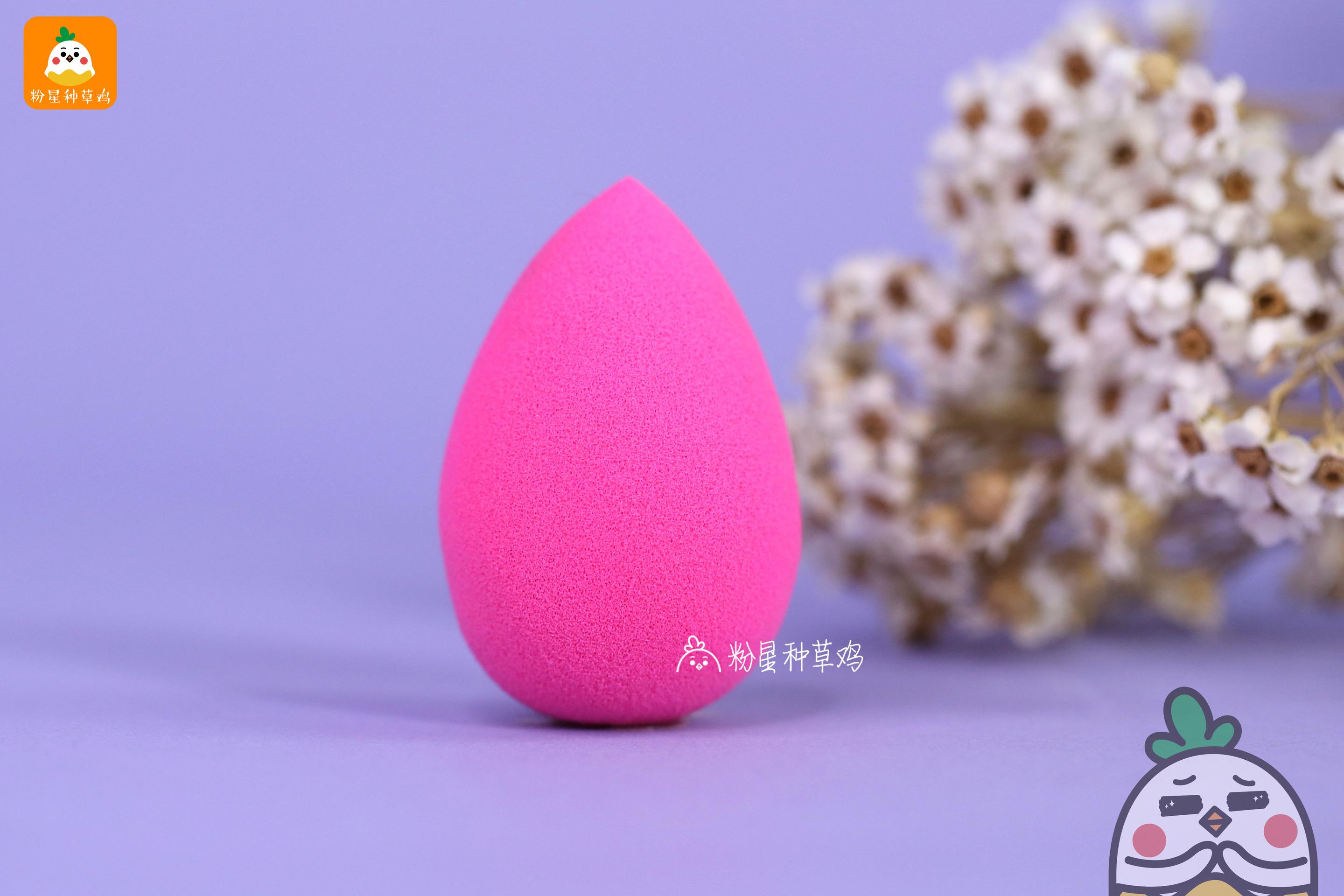 beauty blender美妝蛋和rt美妝蛋哪個好？