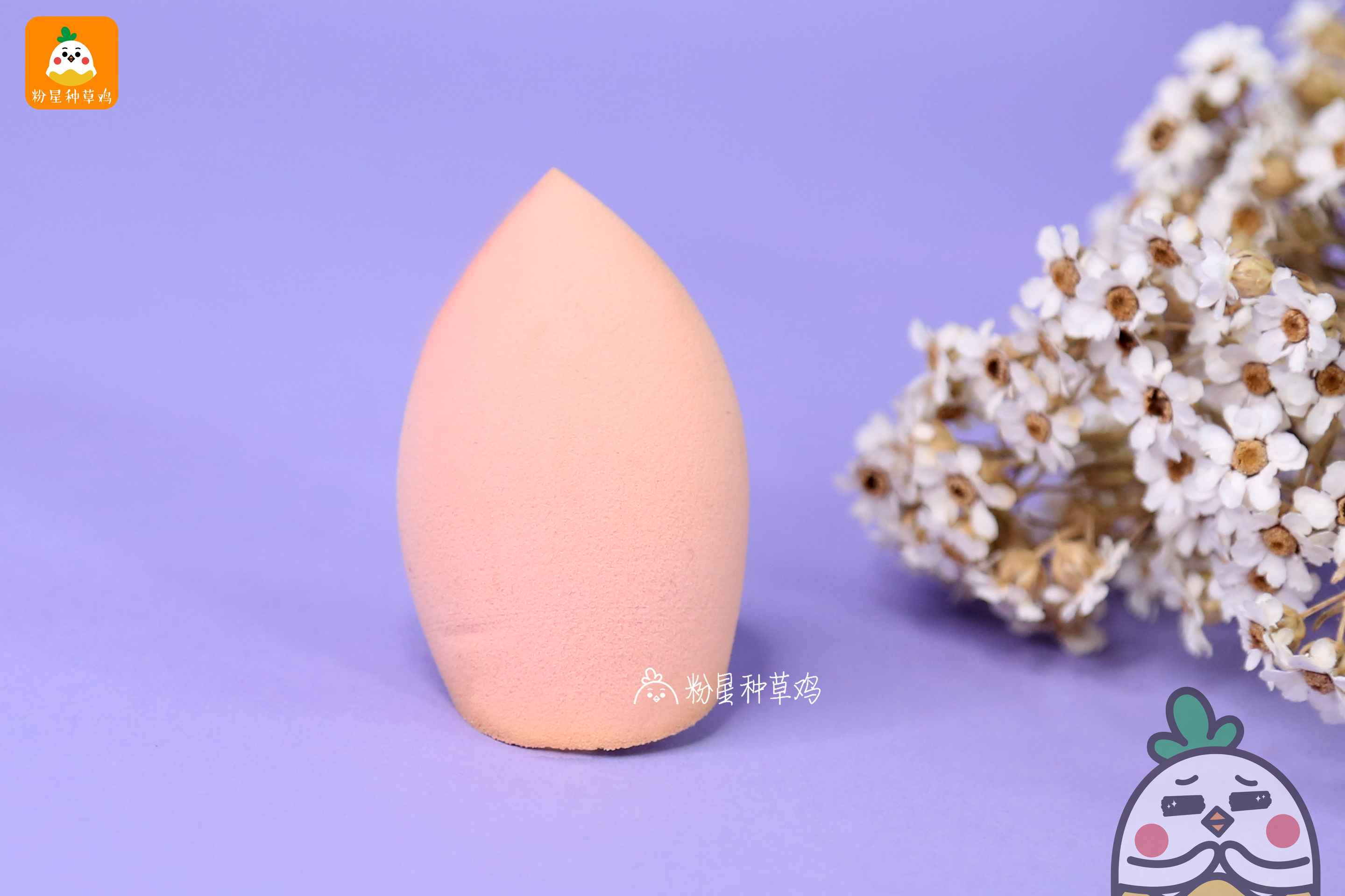 beauty blender美妝蛋和rt美妝蛋哪個好？