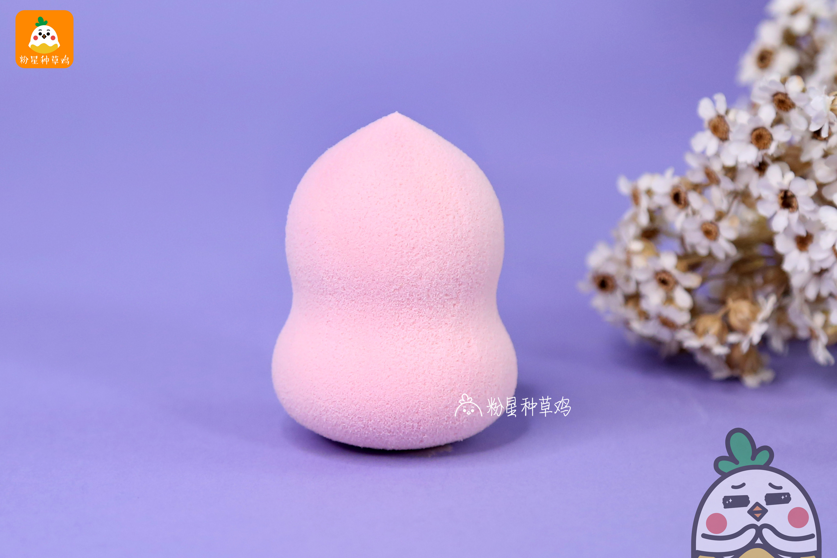 beauty blender美妝蛋和rt美妝蛋哪個好？