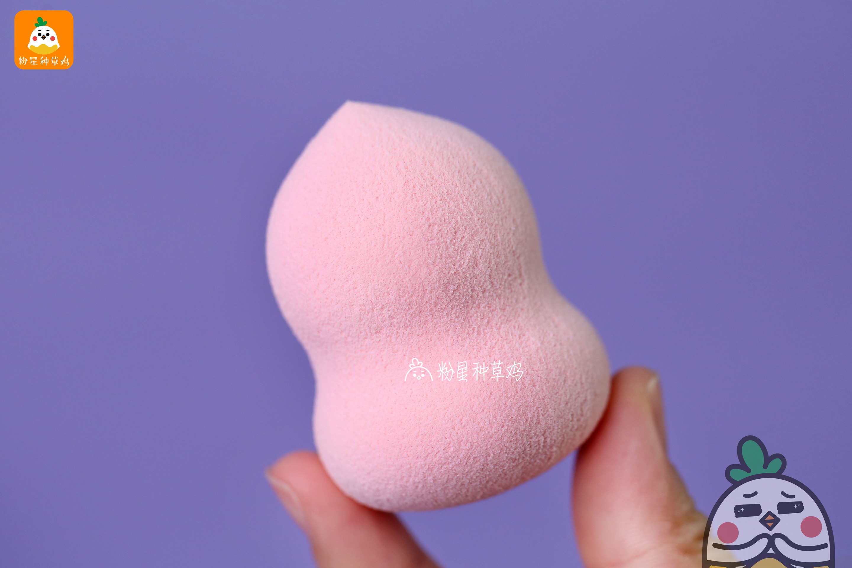 beauty blender美妝蛋和rt美妝蛋哪個好？