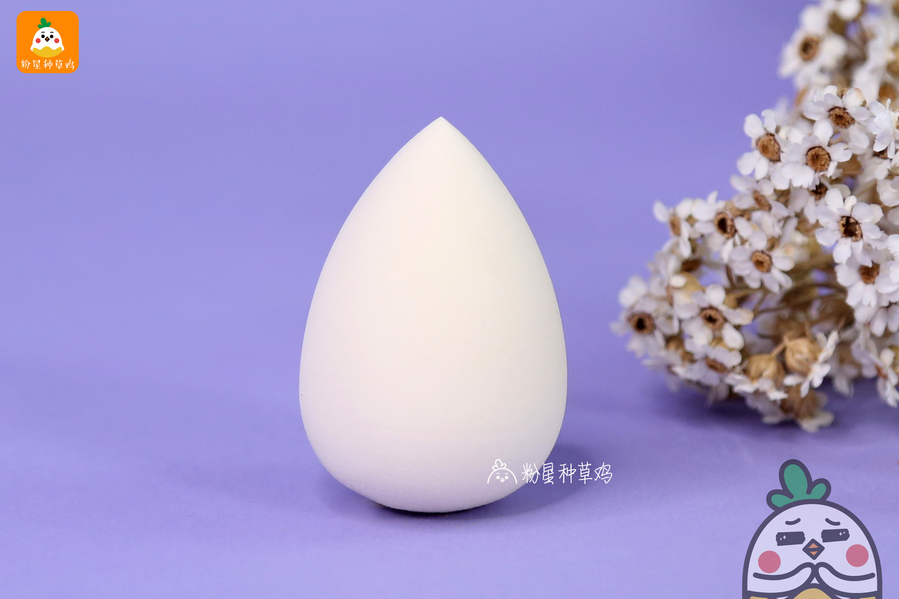 beauty blender美妝蛋和rt美妝蛋哪個好？
