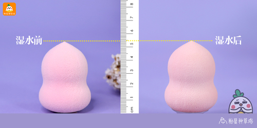 beauty blender美妝蛋和rt美妝蛋哪個好？