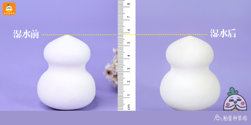 beauty blender美妝蛋和rt美妝蛋哪個好？