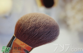 受受狼是哪個國家的？受受狼化妝刷推薦