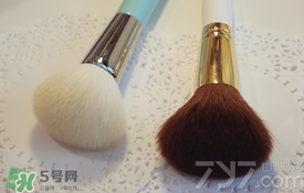 受受狼是哪個國家的？受受狼化妝刷推薦