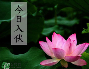 2017年頭伏是哪一天？2017年什么時候入伏？