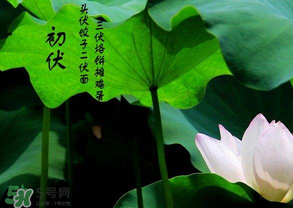 2017年頭伏是哪一天？2017年什么時候入伏？