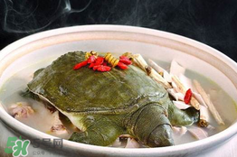 懷孕初期能吃甲魚嗎？懷孕初期可以吃甲魚嗎？