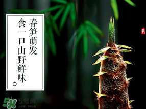 春筍多少錢一斤？春筍多少錢一斤2017？