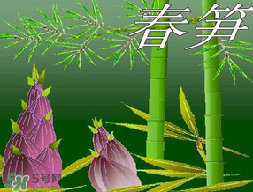 春筍多少錢一斤？春筍多少錢一斤2017？