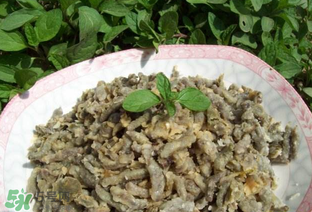 構(gòu)樹(shù)穗孕婦能吃嗎？孕婦能吃構(gòu)樹(shù)穗嗎？