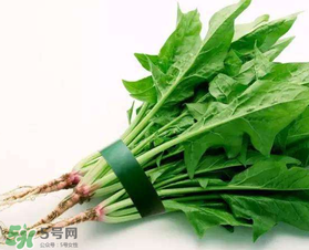 孕婦可以吃菠菜嗎？孕婦菠菜吃多了會(huì)怎樣？