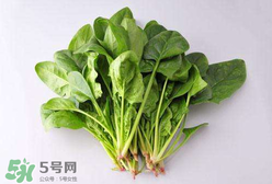 孕婦可以吃菠菜嗎？孕婦菠菜吃多了會(huì)怎樣？