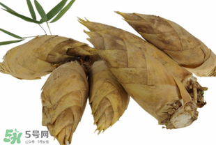 竹筍什么時候長出來？竹筍幾月份長出來？