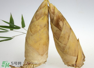 竹筍什么時候長出來？竹筍幾月份長出來？