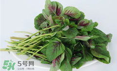 孕婦能吃莧菜嗎？孕婦可以吃莧菜嗎？