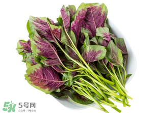 孕婦能吃莧菜嗎？孕婦可以吃莧菜嗎？