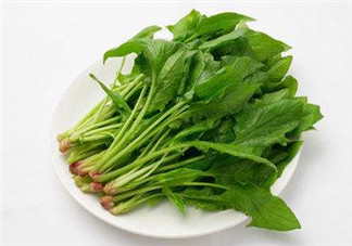 孕婦可以吃菠菜嗎？孕婦菠菜吃多了會(huì)怎樣？