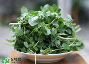 馬齒莧能治白發(fā)嗎？馬齒莧可以治白發(fā)嗎？