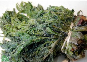 香椿腌制多久可以吃？香椿腌多長時間能吃？