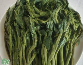 香椿腌制多久可以吃？香椿腌多長時間能吃？