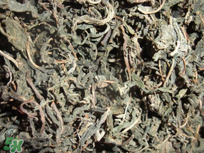 香椿可以曬干嗎？香椿怎么曬干？
