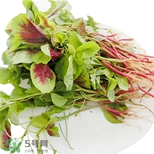 莧菜根的營養價值 莧菜根的功效與作用