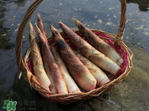 竹筍為什么澀？竹筍如何去澀？
