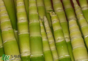 竹筍不焯水有毒嗎？竹筍不過(guò)水能吃嗎？