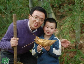 竹筍什么時候挖？竹筍幾月挖？