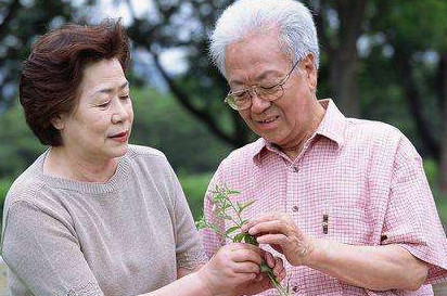 高血脂能不能吃雞蛋？血脂高可以吃雞蛋嗎