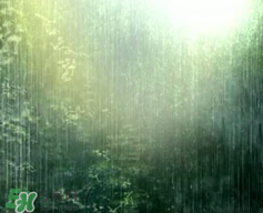 四月份會(huì)一直下雨嗎？2017年四月份為什么一直下雨？