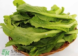 苦菜的營養價值_苦菜的功效與作用及食用方法