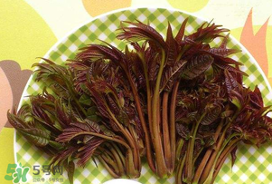 香椿芽可以冷凍嗎？香椿芽怎么冷凍？
