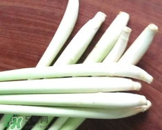 檸檬草的營養價值_檸檬草的功效與作用及食用方法