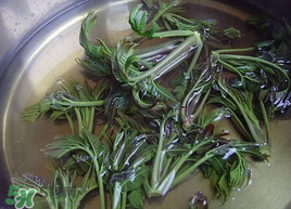 香椿為什么要用開水燙？香椿用開水燙多久？