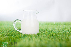 香椿可以和牛奶一起吃嗎？香椿和牛奶能一起吃嗎？