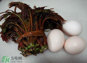 哺乳期可以吃香椿炒雞蛋嗎？哺乳期可以吃香椿炒雞蛋嗎？