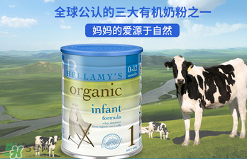貝拉米奶粉報價多少？貝拉米奶粉價格多少？