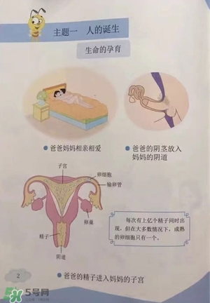 孩子瀏覽成人網(wǎng)站怎么辦？小學性教育有沒有必要？