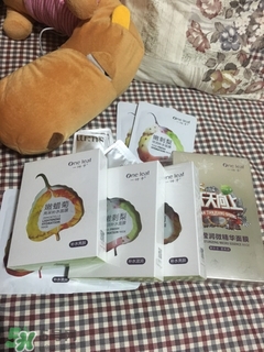 一葉子適合什么皮膚？一葉子適合油性肌膚嗎？
