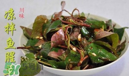 吃魚(yú)腥草可以喝酒嗎？吃魚(yú)腥草能喝酒嗎