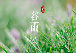 谷雨是什么季節？谷雨是春天還是夏天？