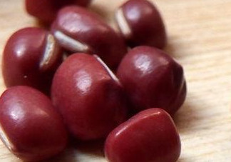 赤豆是什么豆？赤豆是紅豆嗎
