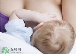 香椿會回奶嗎？吃香椿會回奶嗎？