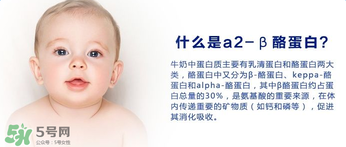 A2奶粉分幾種？A2奶粉有幾個種類？