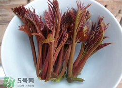 香椿和雞肉可同吃嗎？香椿和雞肉能一起吃嗎？