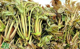 香椿和平菇能一起吃嗎？香椿和香菇能一起吃嗎？