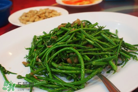 樹仔菜有毒嗎？樹仔菜有沒有毒？